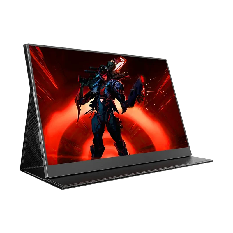GR16DQ | 120Hz Gaming Monitor 1600P 16 Inch Display VESA