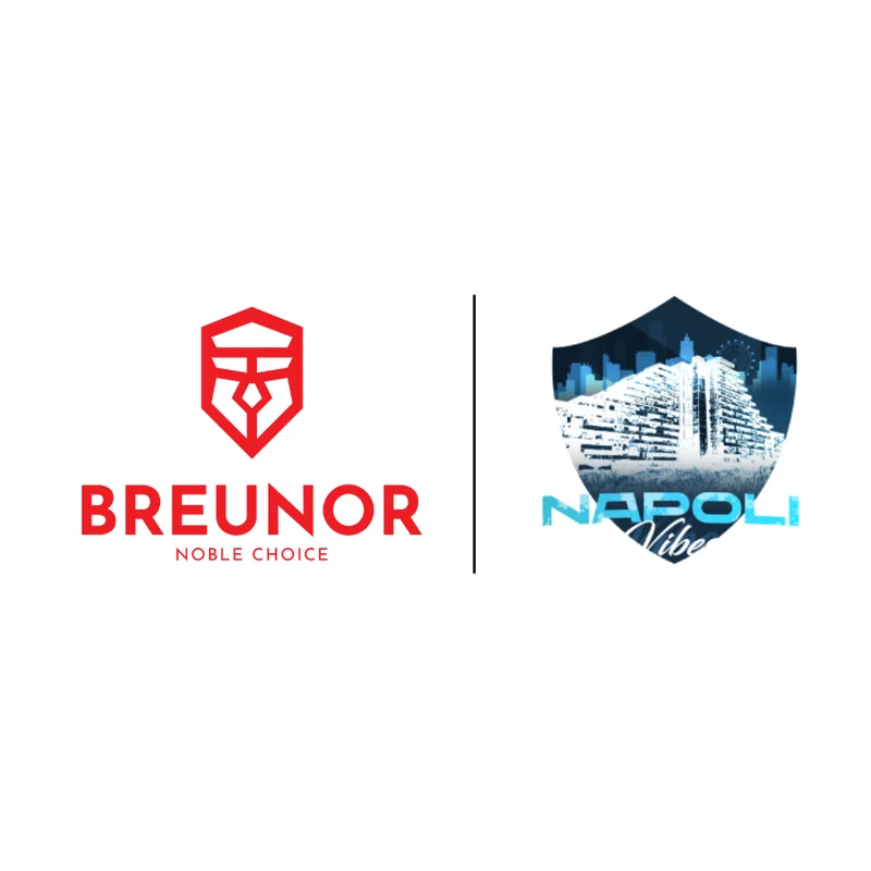 BREUNOR VIBES - PC Gaming RYZEN 5 5600 6 Core fino a 4.40GHz, RTX 5050 8GB, Ram 16Gb , SSD NVMe 1000GB, Windows 11 pro
