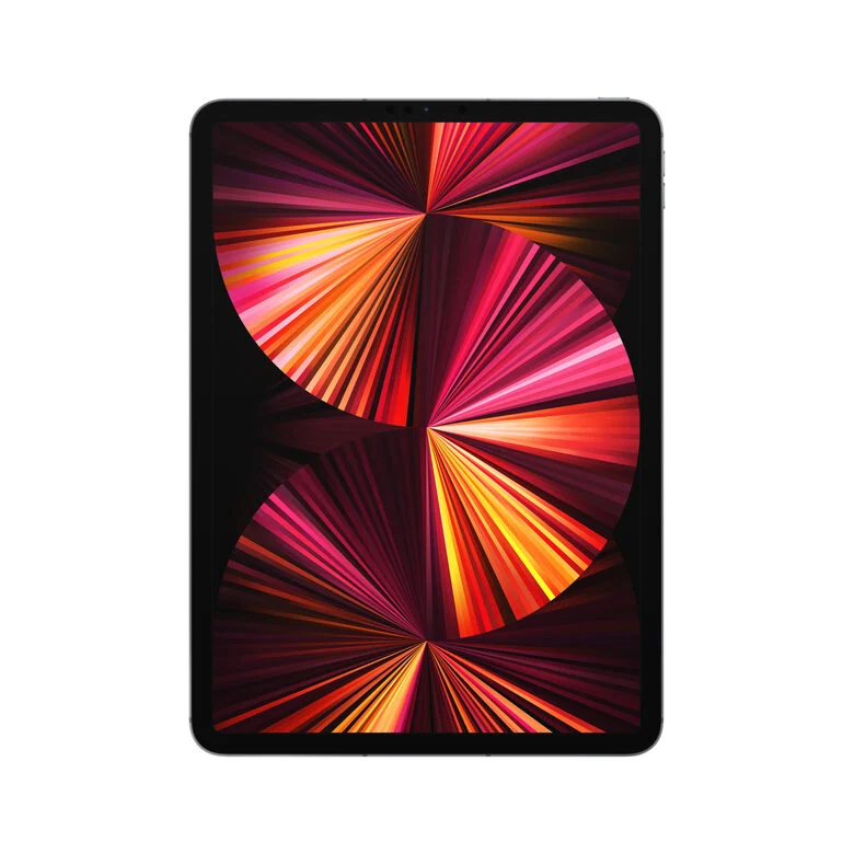 Apple iPad Pro 11" con Chip M1 (terza gen.) Wi-Fi + Cellular 1TB - Grigio siderale