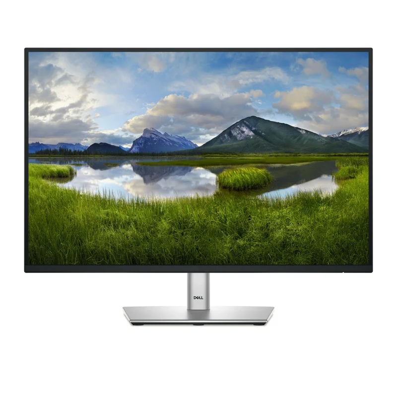 Dell 24 Monitor P2425