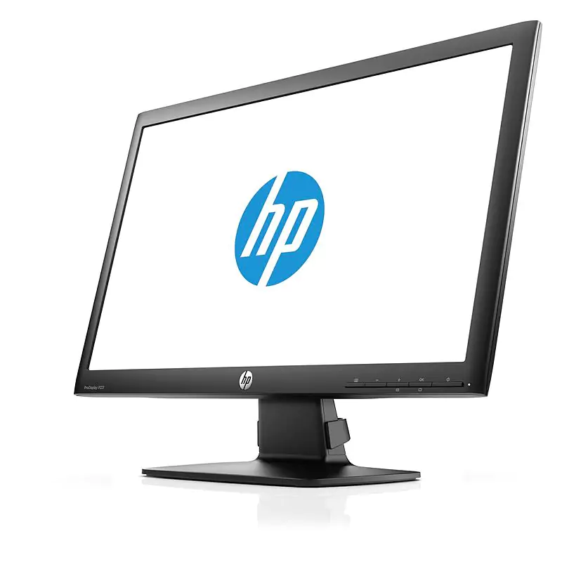 HP ProDisplay P201 Monitor LED 20" 1600x900 Pixel Luminosità 250 cd/m² Contrasto 1000:1 Tempo di risposta 5ms VGA DVI