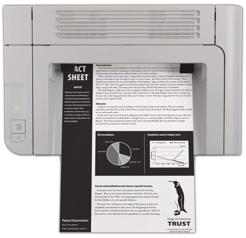 HP LaserJet Pro P1566 Stampante Laser B/N A4 1200×1200 DPI 22ppm USB Economia Pratica e semplice da usare