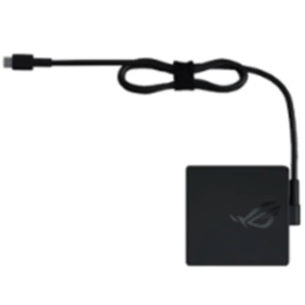 ASUS ROG 100W USB-C Adapter adattatore e invertitore Interno Nero