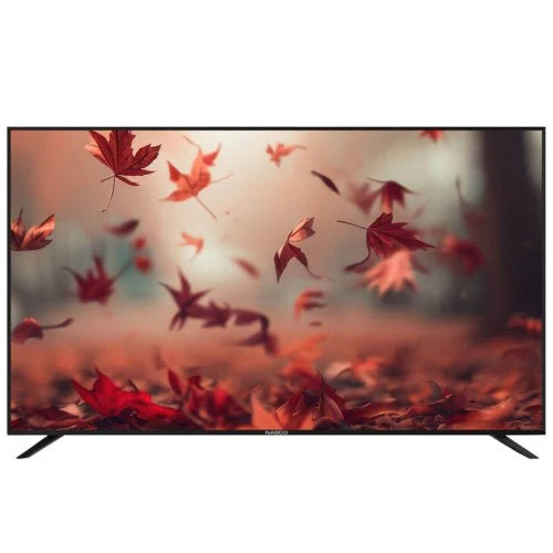 NASCO 32'' LED DIGITAL SATELLITE TELEVISION