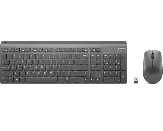 LENOVO SELECT WIRELESS MODERN COMBO
