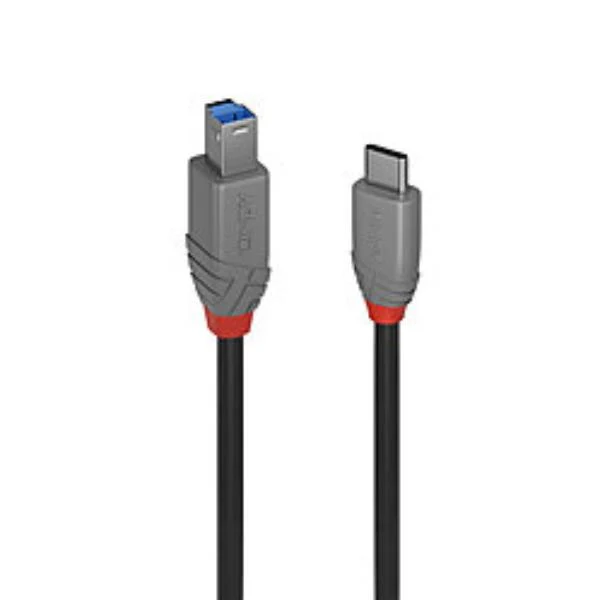 Lindy 36666 cavo USB USB 3.2 Gen 1 (3.1 Gen 1) 1 m USB C USB B Nero