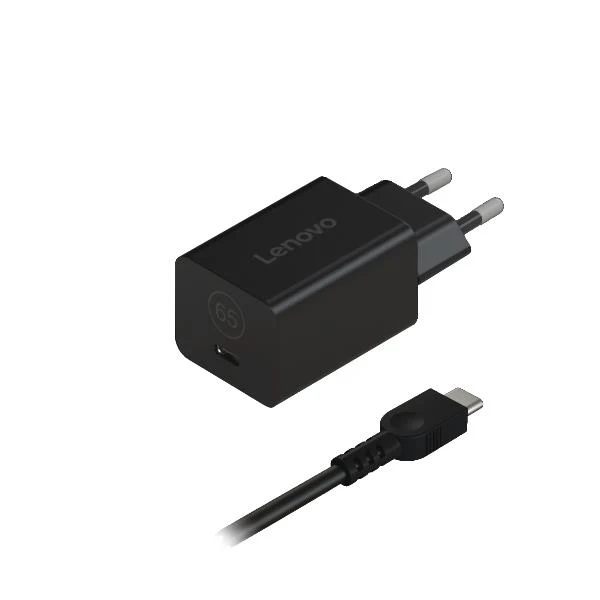 Lenovo 40AWGN65EU adattatore e invertitore Interno Nero